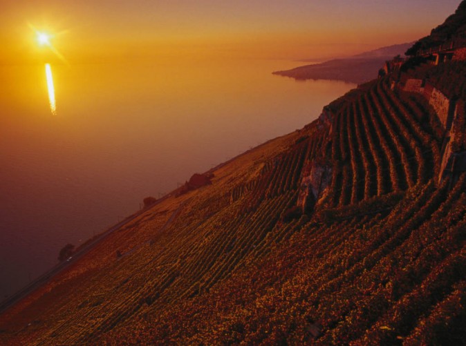 Lavaux6_swiss-image.ch_Max Schmidt